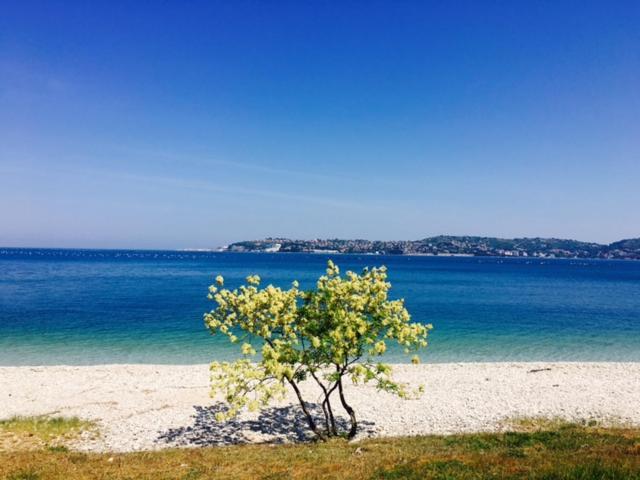 Apartment Umag Nelly Bagian luar foto