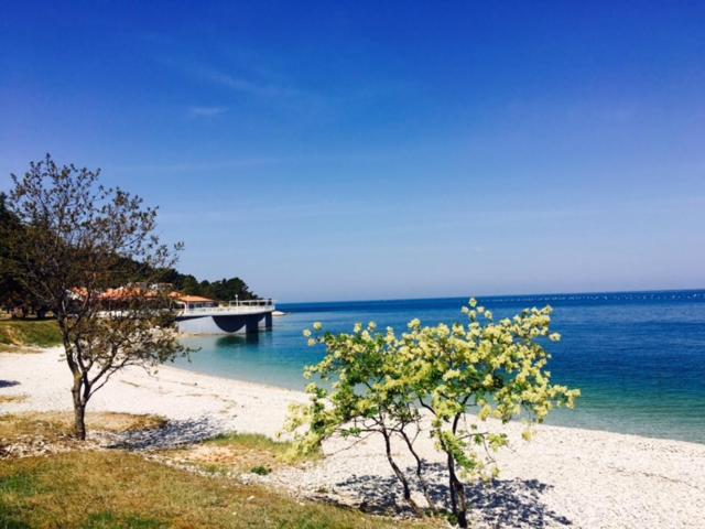 Apartment Umag Nelly Bagian luar foto