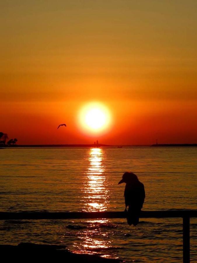 Apartment Umag Nelly Bagian luar foto