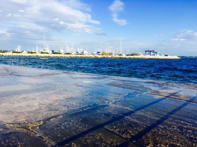 Apartment Umag Nelly Bagian luar foto