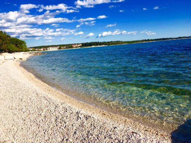 Apartment Umag Nelly Bagian luar foto